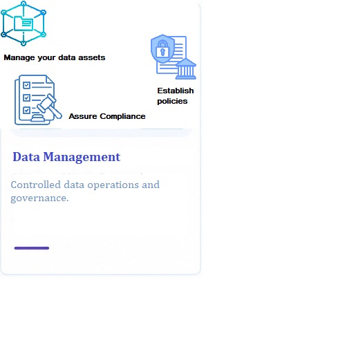 Data Management